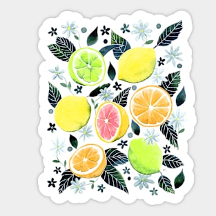 Assorted Watercolor Citrus Pattern - Green Sticker